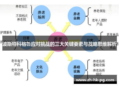 波斯特科格鲁应对挑战的三大关键要素与战略思维解析