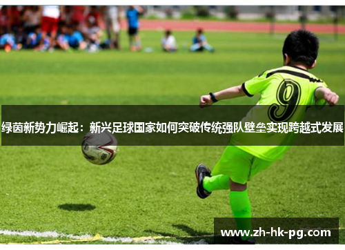 绿茵新势力崛起:新兴足球国家如何突破传统强队壁垒实现跨越式发展 绿茵新势力崛起:新兴足球国家如何突破传统强队壁垒实现跨越式发展